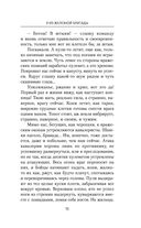 Я из Железной бригады — фото, картинка — 14