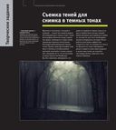 Школа фотографии Майкла Фримана. Экспозиция — фото, картинка — 21