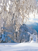 Урал – малахитовая шкатулка России. История, традиции, культурные и природные достопримечательности региона — фото, картинка — 11