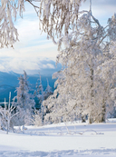 Урал – малахитовая шкатулка России. История, традиции, культурные и природные достопримечательности региона — фото, картинка — 12