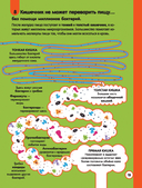 100 любопытных почему о теле человека — фото, картинка — 16