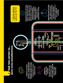 100 любопытных почему о теле человека — фото, картинка — 11
