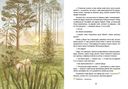 Хозяйка тайги. Сказки сибирских лесов — фото, картинка — 4