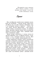 Там, где молчит лес — фото, картинка — 4