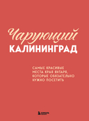 Чарующий Калининград. Самые красивые места края янтаря, которые обязательно нужно посетить — фото, картинка — 3