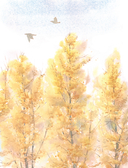 Моя жизнь в акварели. Уютное руководство по созданию повседневных зарисовок — фото, картинка — 12