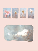 Моя жизнь в акварели. Уютное руководство по созданию повседневных зарисовок — фото, картинка — 3