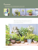 Моя жизнь в акварели. Уютное руководство по созданию повседневных зарисовок — фото, картинка — 10