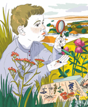 Мир биолога Мечникова. Как разглядеть в микроскоп целый мир — фото, картинка — 3