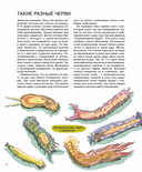 Мир биолога Мечникова. Как разглядеть в микроскоп целый мир — фото, картинка — 7