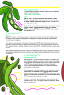 Пэгопаё! Ттокпокки, рамён, кимбап и другие рецепты из ваших любимых дорам — фото, картинка — 7