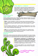 Пэгопаё! Ттокпокки, рамён, кимбап и другие рецепты из ваших любимых дорам — фото, картинка — 9