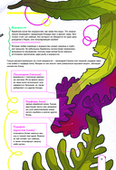 Пэгопаё! Ттокпокки, рамён, кимбап и другие рецепты из ваших любимых дорам — фото, картинка — 10