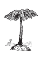 Дареш. Страна Шепчущих озер — фото, картинка — 4