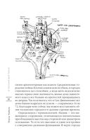 О Тоскане без тоски. Итальянские истории с привкусом счастья и базилика — фото, картинка — 50