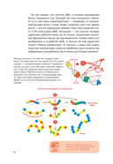 Расплетая ДНК. Увлекательный путеводитель по генетике — фото, картинка — 11
