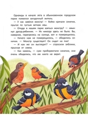 Счастье на коротких ножках — фото, картинка — 1