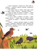 Счастье на коротких ножках — фото, картинка — 2