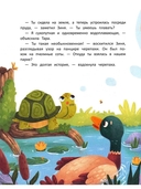 Счастье на коротких ножках — фото, картинка — 4