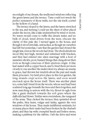 Rebecca — фото, картинка — 4