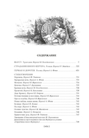 Фауст. Страдания юного Вертера — фото, картинка — 19