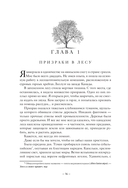 Мудрость леса. В поисках материнского древа и таинственной связи всего живого — фото, картинка — 12