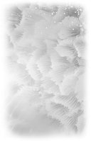 Лазурный Берег — фото, картинка — 6