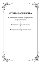 Струны волшебства — фото, картинка — 2