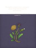 Магический гербарий. Вдохновляющие послания и ритуалы от 36 волшебных растений — фото, картинка — 2