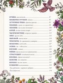 Магический гербарий. Вдохновляющие послания и ритуалы от 36 волшебных растений — фото, картинка — 17