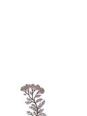 Магический гербарий. Вдохновляющие послания и ритуалы от 36 волшебных растений — фото, картинка — 27