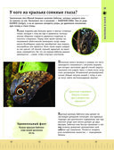 Редкие и удивительные животные нашей планеты. Энциклопедия для детей — фото, картинка — 17