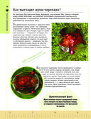 Редкие и удивительные животные нашей планеты. Энциклопедия для детей — фото, картинка — 18