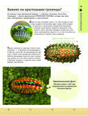 Редкие и удивительные животные нашей планеты. Энциклопедия для детей — фото, картинка — 19