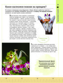 Редкие и удивительные животные нашей планеты. Энциклопедия для детей — фото, картинка — 21