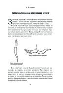 Всё о рыбалке. Легендарная подарочная энциклопедия Сабанеева — фото, картинка — 110