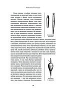 Всё о рыбалке. Легендарная подарочная энциклопедия Сабанеева — фото, картинка — 49