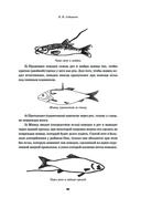 Всё о рыбалке. Легендарная подарочная энциклопедия Сабанеева — фото, картинка — 82