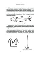 Всё о рыбалке. Легендарная подарочная энциклопедия Сабанеева — фото, картинка — 83