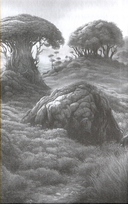 Звездный волк. Истории о космосе — фото, картинка — 2