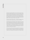 Вязание крючком. Дизайнерские сумки из Кореи — фото, картинка — 3