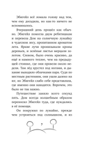 Загадка таинственной дороги — фото, картинка — 7