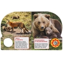 Мамы и малыши. Музыкальная книга (1 кнопка + 10 песен) — фото, картинка — 4