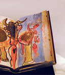 Истории Фриды — фото, картинка — 13