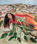 Истории Фриды — фото, картинка — 8