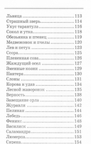 Леонардо да Винчи. Сказки. Легенды. Притчи — фото, картинка — 3