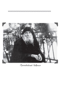 Юродивый. Преподобный Гавриил Ургебадзе — фото, картинка — 6