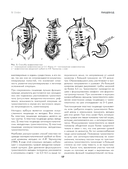 Хирургические болезни. Часть 1 — фото, картинка — 17