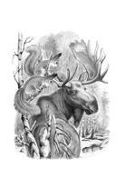 Листопадничек. Рассказы — фото, картинка — 2