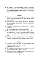 Контрольные и проверочные работы по русскому языку. 1-4 классы — фото, картинка — 6
